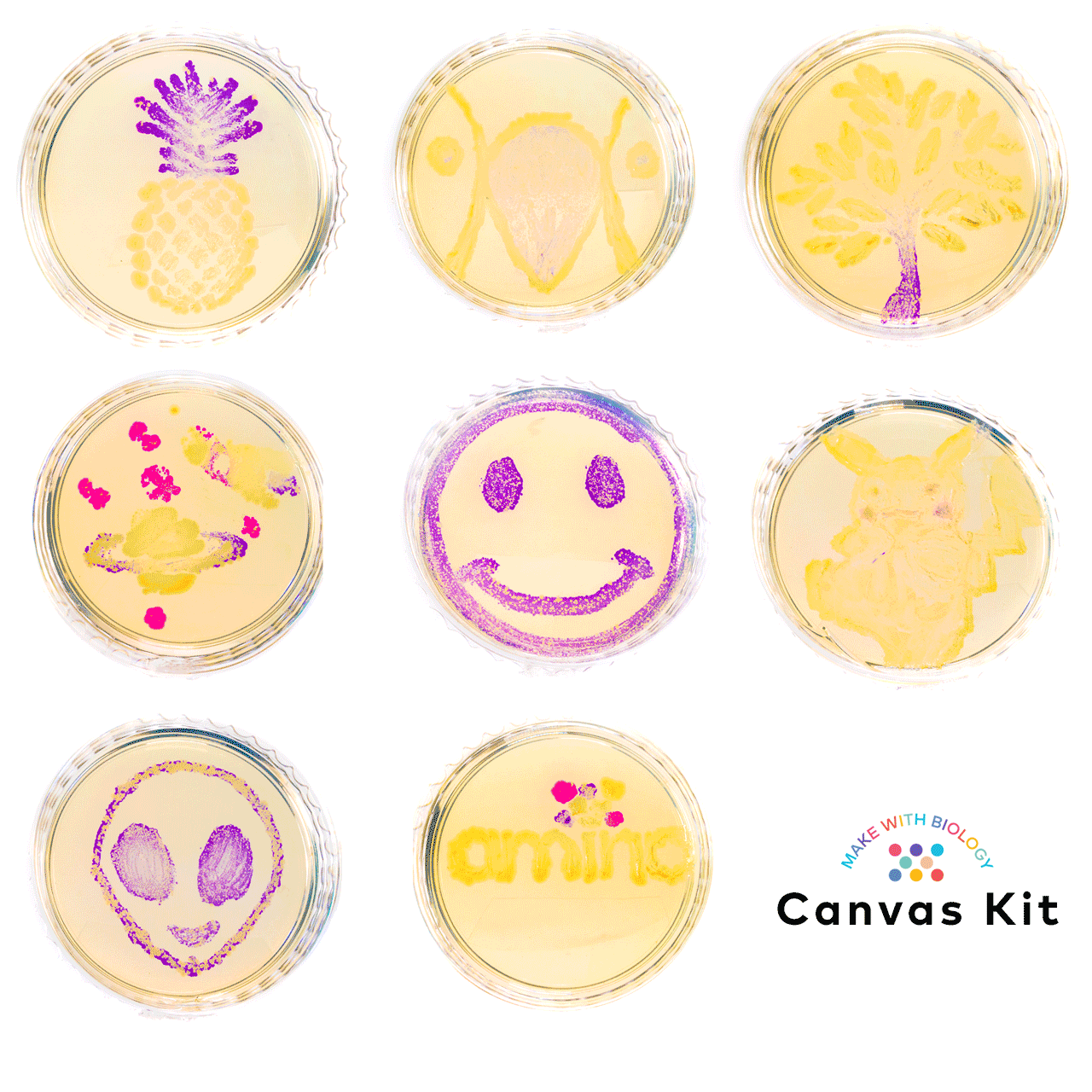 Canvas Kit - Create Living Paintings