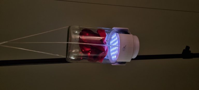 Rosa Di Scena Luminosa Radiocomandata - 2CPuCOnPzEpuf.jpg