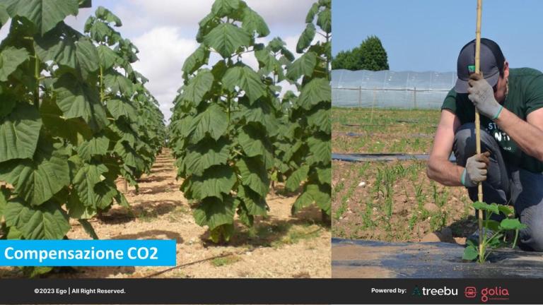 EGO – Trasporti Carbon Neutral - 2kt6rIJcSDEgv.jpg