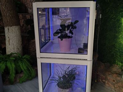 BioAI - Maker Faire Tashkent 2024