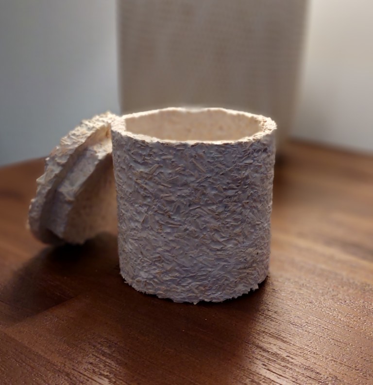 Cogumelos e o seu uso como biomateriais - Maker Faire Lisbon