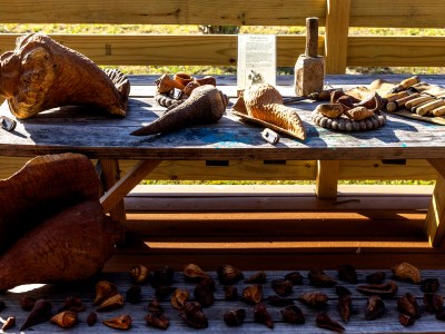 Conch Carving - Maker Faire Pensacola 2024