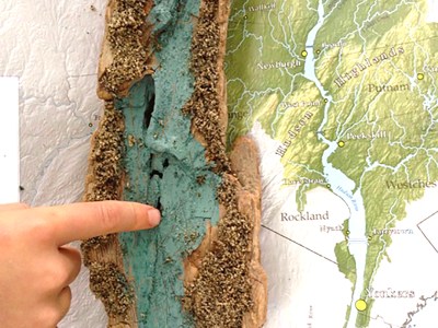 Creekside Art with Nature - Maker Faire Hudson Valley