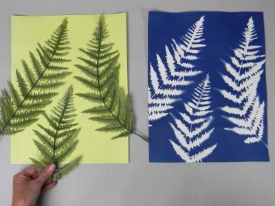 Cyanotype - Maker Faire Rocklin