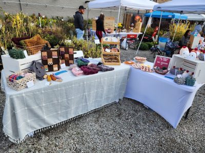 Em's World of Yarn - Maker Faire Louisville 2024