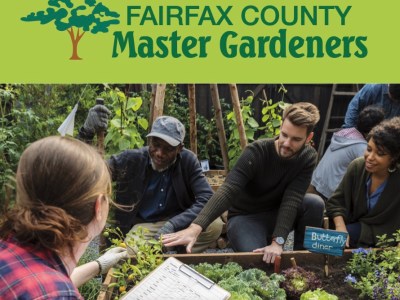 Fairfax County Master Gardeners - Maker Faire NoVa 2024