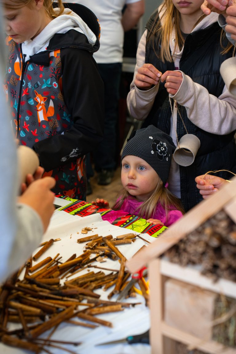 Maker Faire Jihlava 2024 - Jihlava_24_2