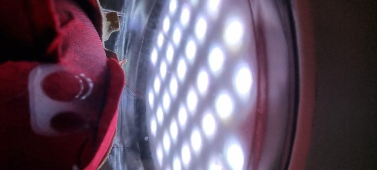 Rosa Di Scena Luminosa Radiocomandata - jszWRuWy11Ph.jpg