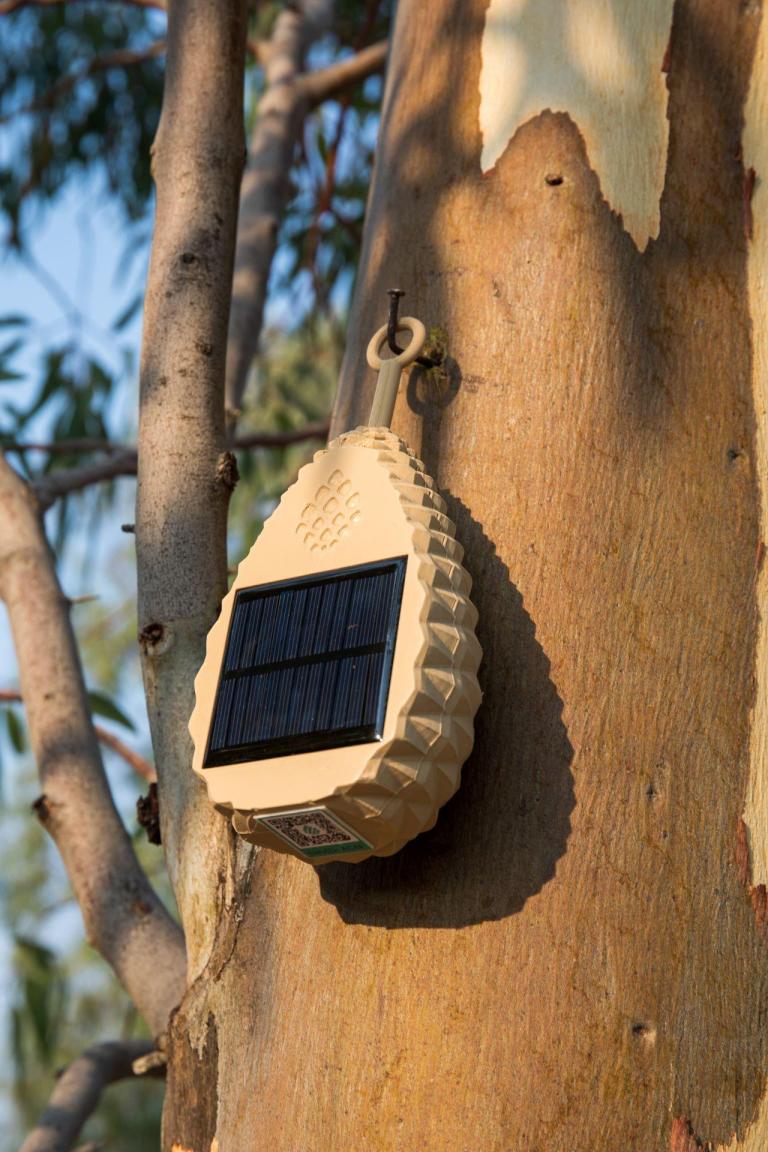 SLY empowers wildfire resilience - lSwDfi9cQJ7x.jpg