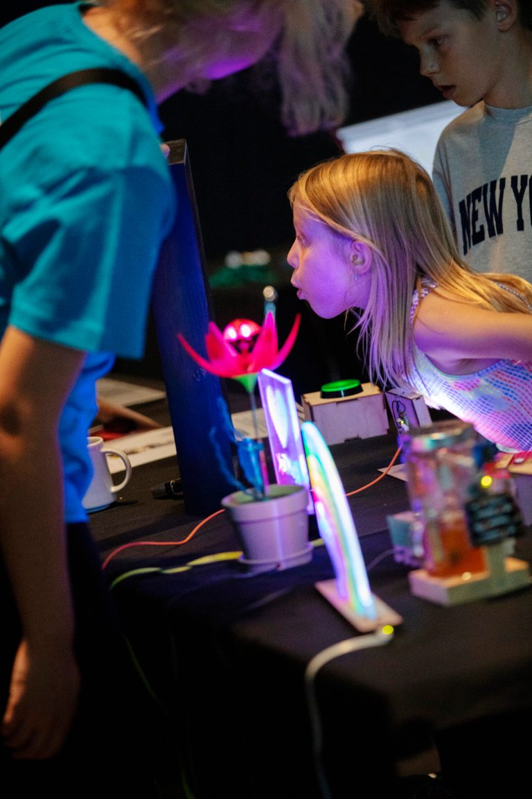 Maker Faire Örebro 2024 - Maker-Faire-2024_002_Foto-Karin-Wilkens.jpg