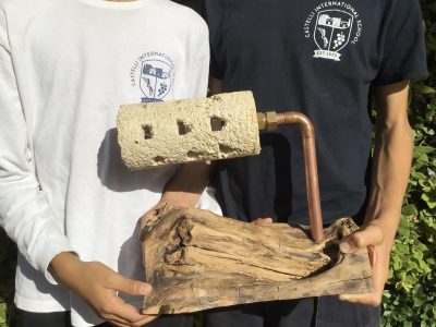 Mycastellium - From Mushroom to Masterpiece - Maker Faire