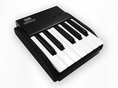 Ottavia - la tastiera di un'ottava - Maker Faire