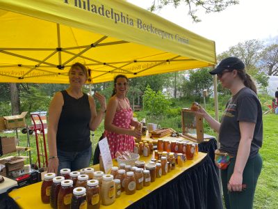 Philadelphia Beekeeper's Guild Hive Display and Sales - Maker Faire Philadelphia 2024