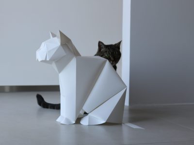 PLIZOO - Maker Faire Brussels