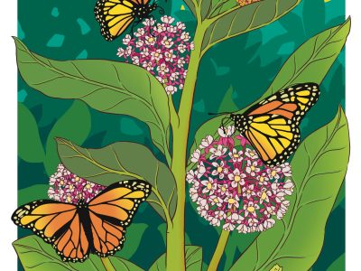 Rachel Feirman - Nature Inspired Art - Maker Faire Rochester 2024