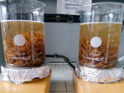 Saving Plants thanks to Nanotechnology - Maker Faire