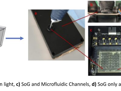 Smart Sensor for Testing Agrifood Quality & Safety at the Point of Care - Maker Faire