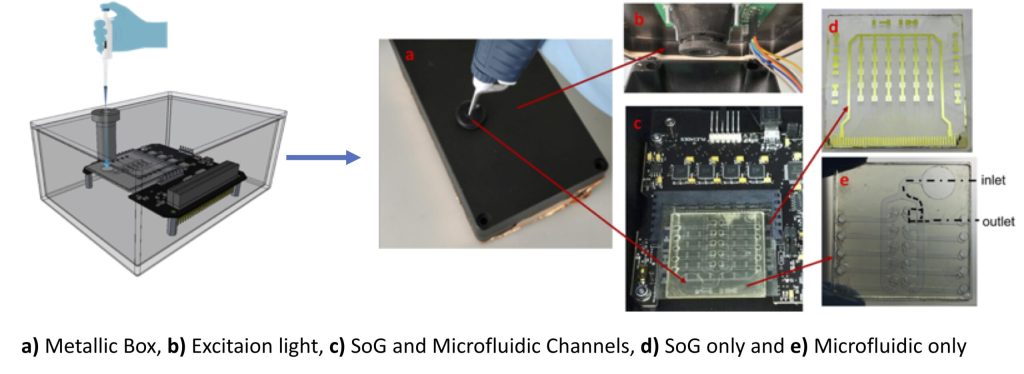 Smart Sensor for Testing Agrifood Quality & Safety at the Point of Care - Maker Faire