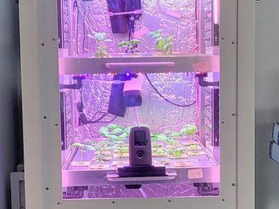 SOLE Coltivare sulla Luna ... ed a casa! - Maker Faire rome 2024