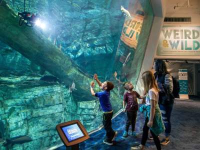 Underwater Robotics - Maker Faire Milwaukee 2024