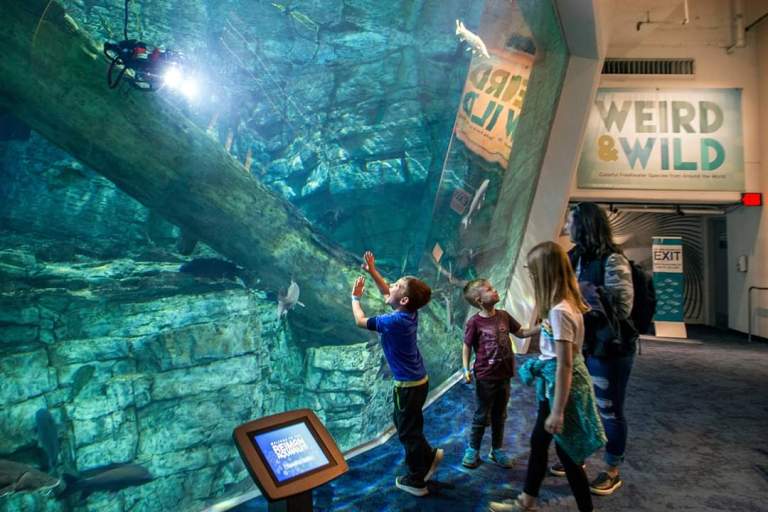 Underwater Robotics - Maker Faire Milwaukee 2024