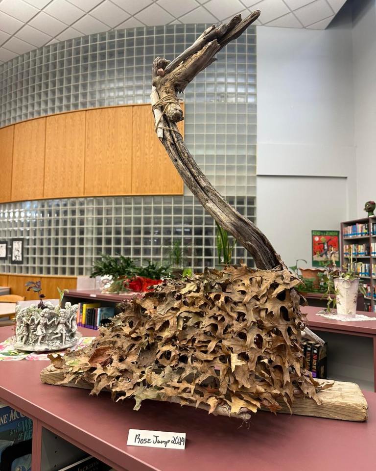 Maker Faire WNY Regional 2024 - wnyr24_5