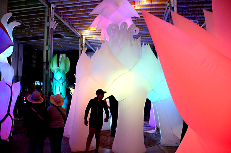 Maker Faire Bay Area 2024 - AstroBotanicals. Photo by Juliann Brown