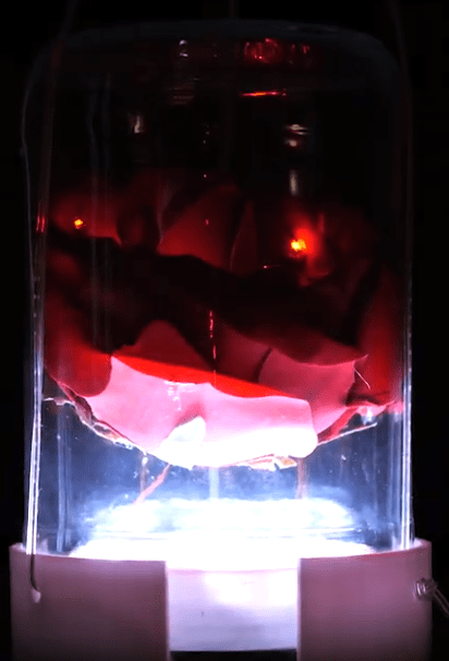 Rosa Di Scena Luminosa Radiocomandata - Maker Faire