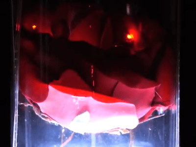 Rosa Di Scena Luminosa Radiocomandata - Maker Faire