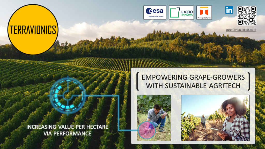 TERRAVIONICS - Maker Faire