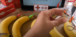 Transforming Food to sound - Maker Faire Baton Rouge 2024